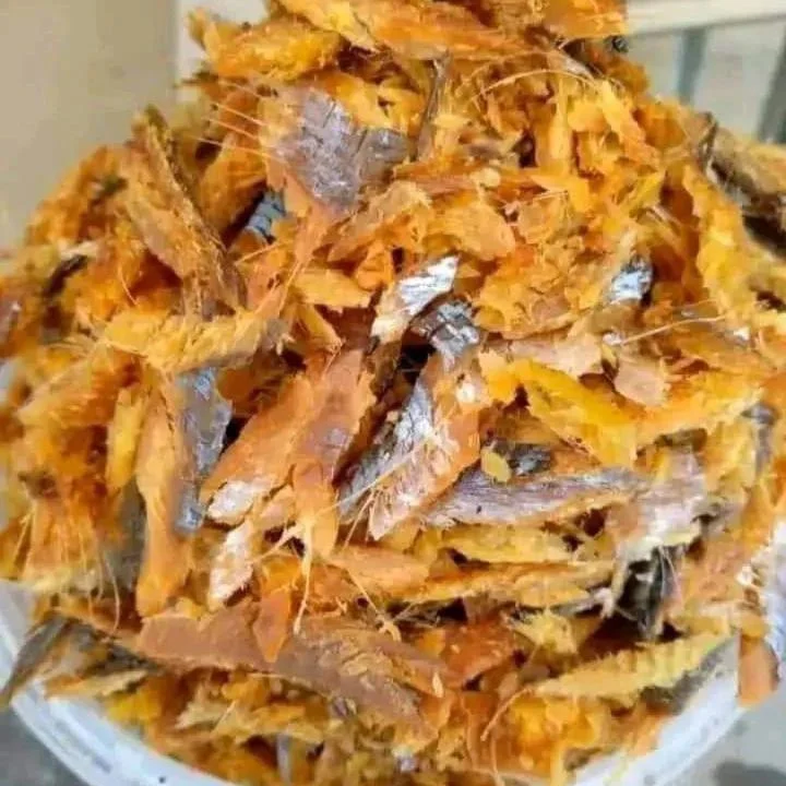 Bonga fish
